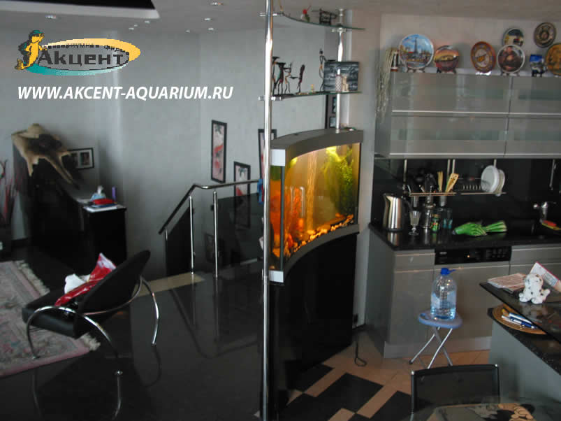 Акцент-аквариум, аквариум просмотровый сложной формы, вид со стороны кухни
